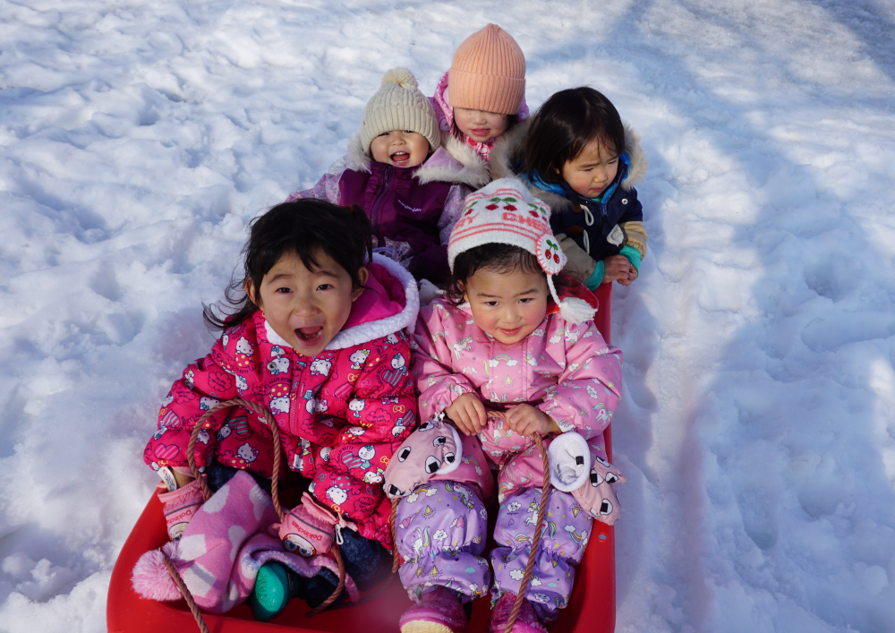 そり滑りがお気に入り⛄❕（ぺんぎん組）