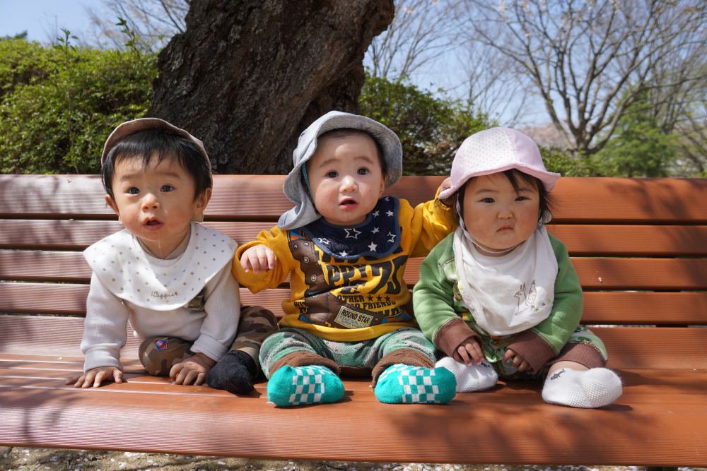 つつじ公園は発見がいっぱい！！～ひよこ組～