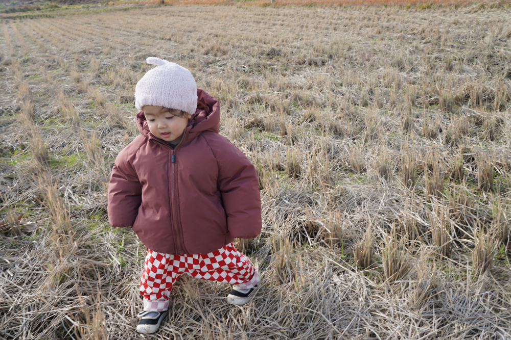 今年最後の土手散策🍂～ひよこ組～