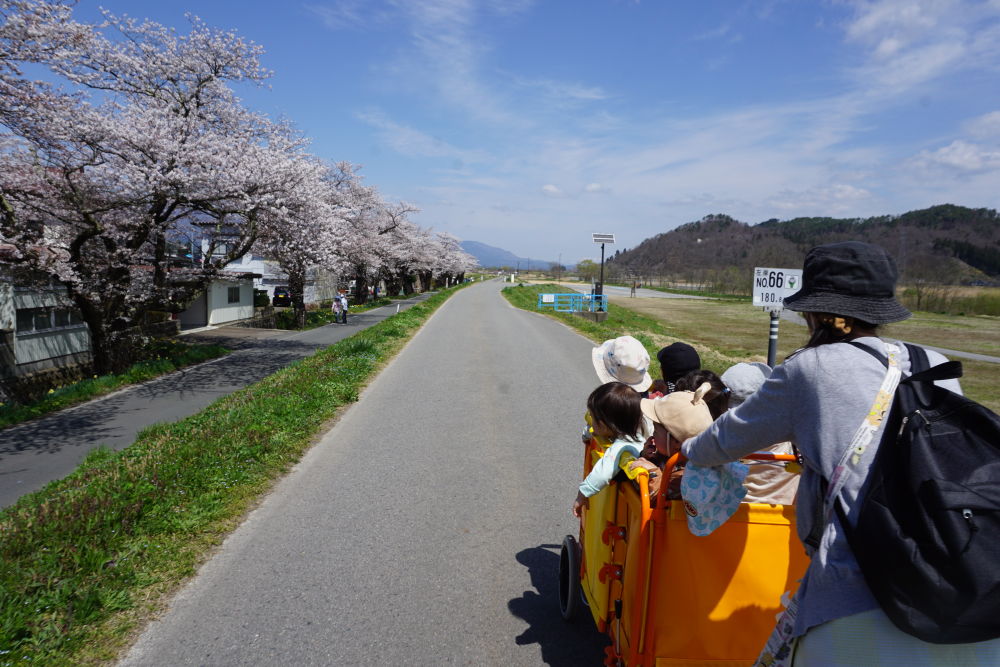 つつじ公園で遊んできたよ☆