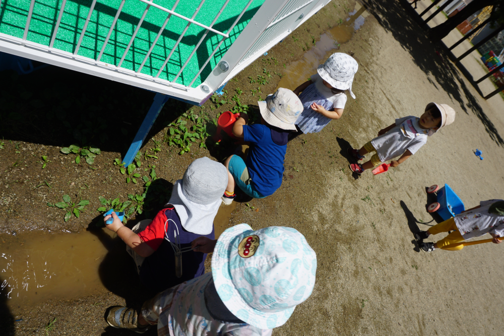 見つけた！水たまり(*^▽^*)