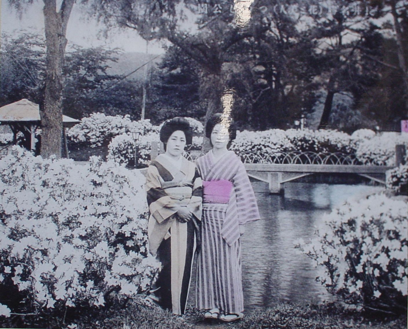白つつじ公園物語