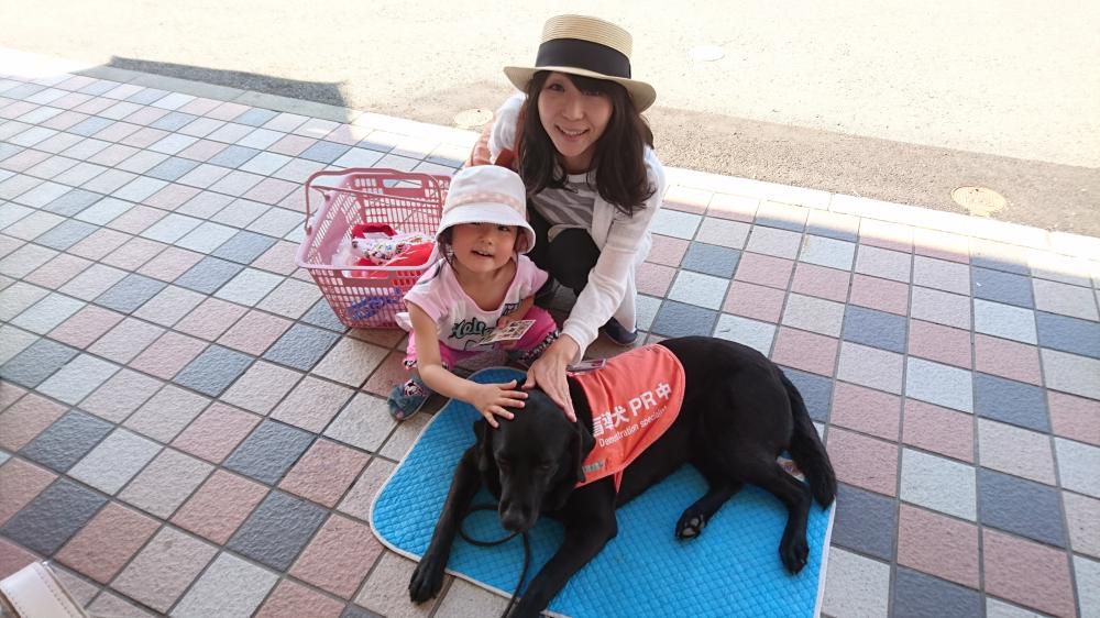 「盲導犬ふれあい募金活動」に参加してきました！