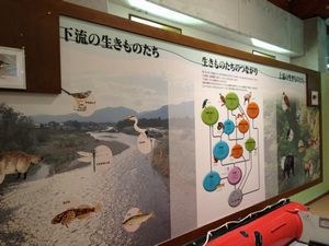 生き物たちのつながり