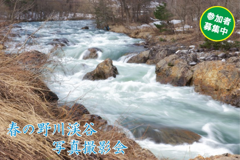 春の野川渓谷写真撮影会を開催しました