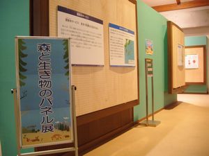 『森と生き物のパネル展』を開催しました