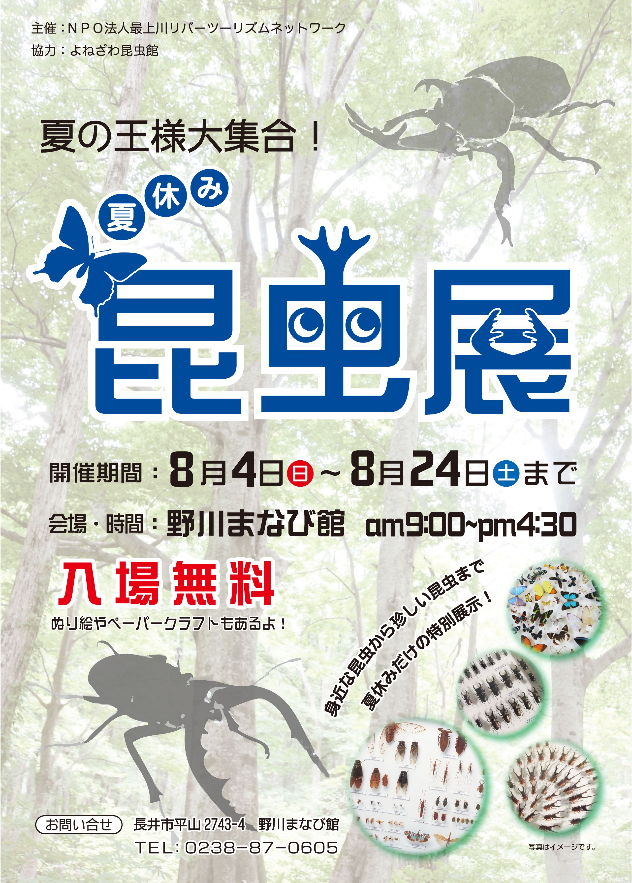 『夏の王様大集合！昆虫展』を開催しました