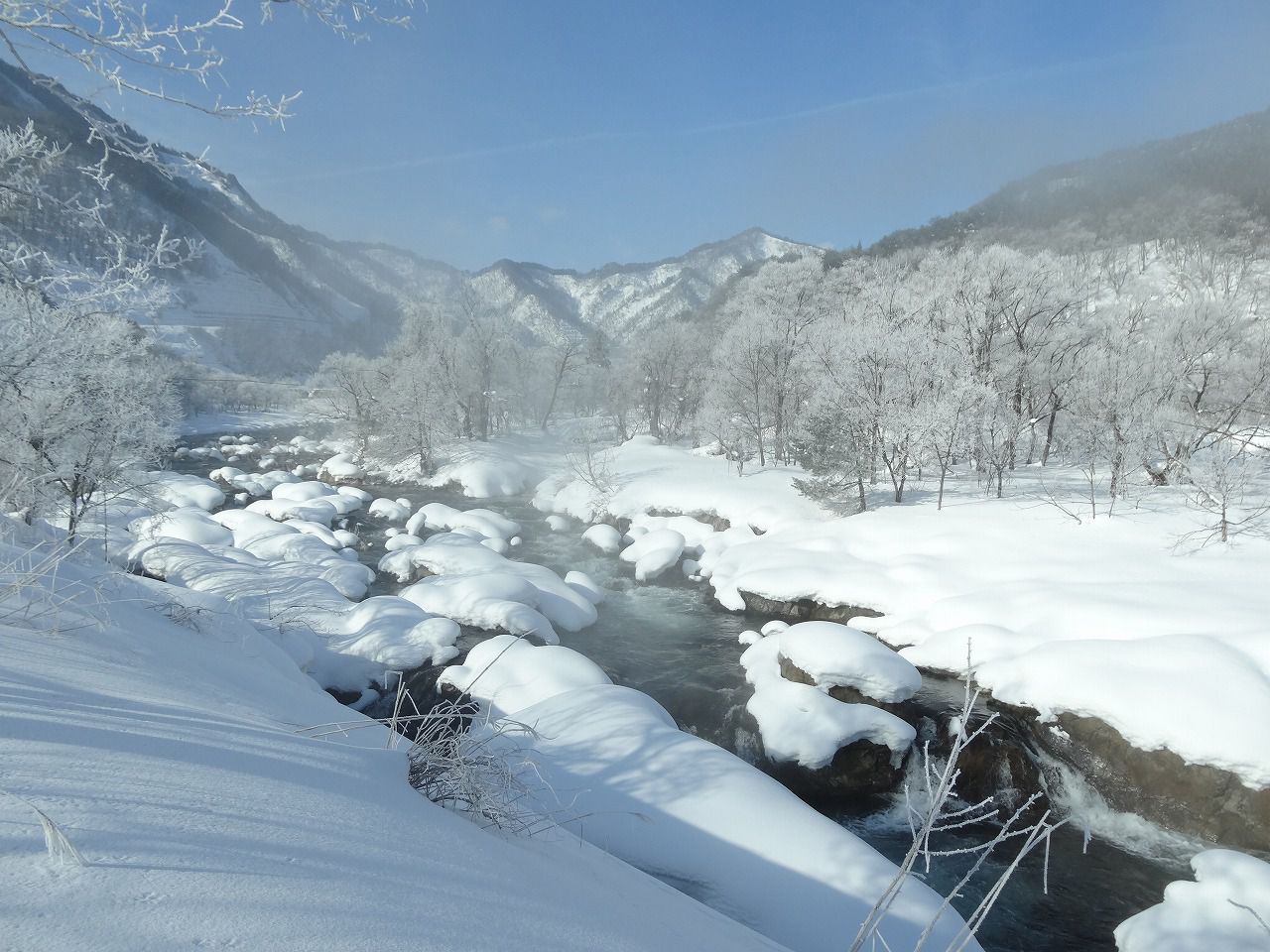 【2月イベント情報】清流ウォーキングを開催します。
