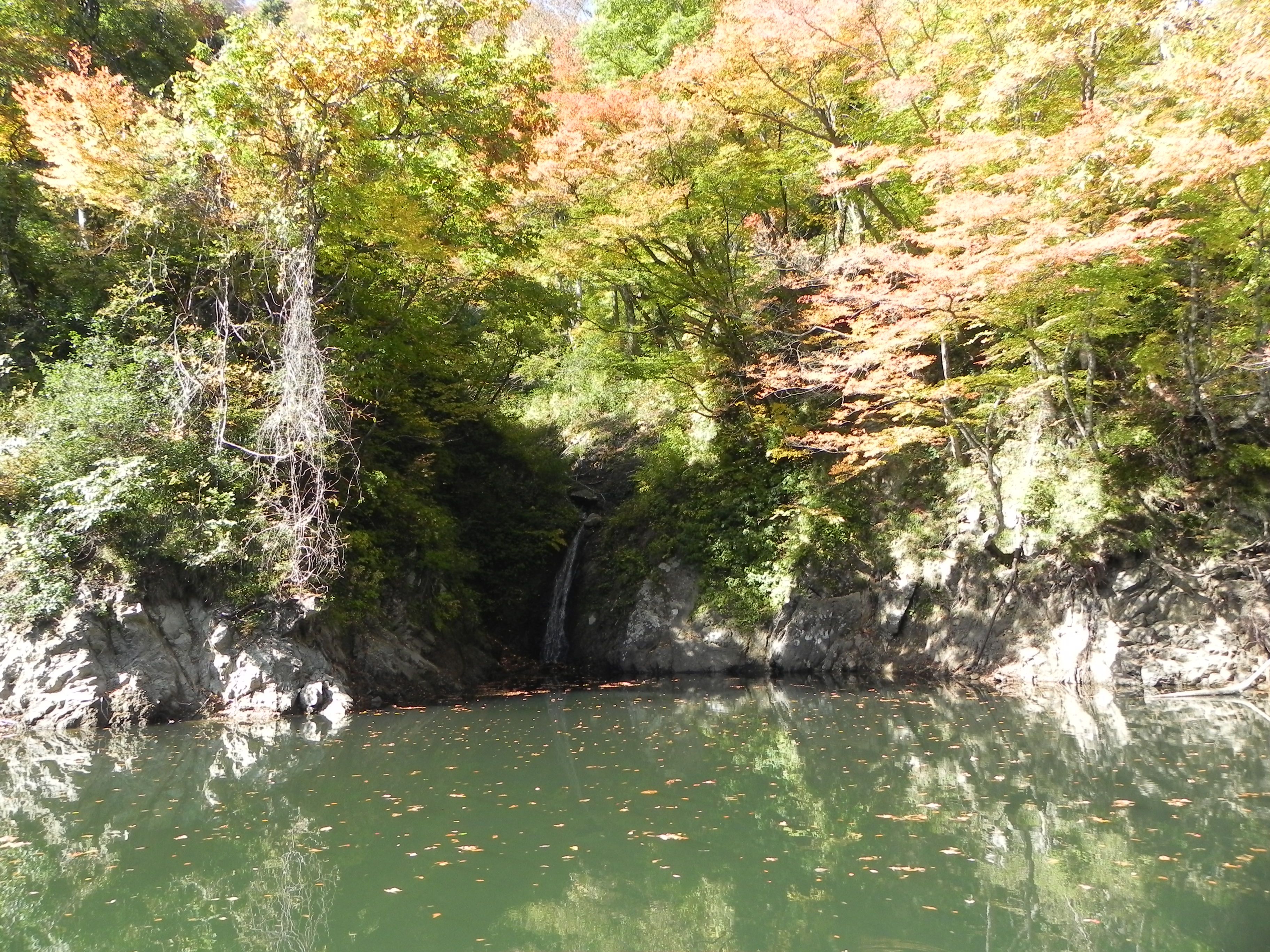 長井ダム周辺紅葉情報（10/23）