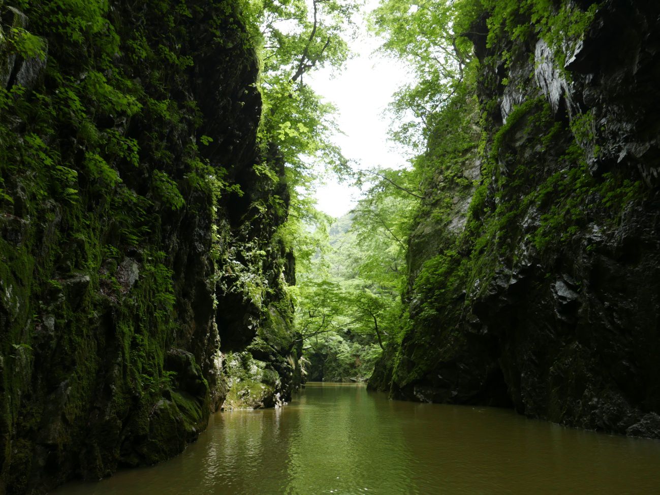 水位回復のながい百秋湖、本日の三淵渓谷