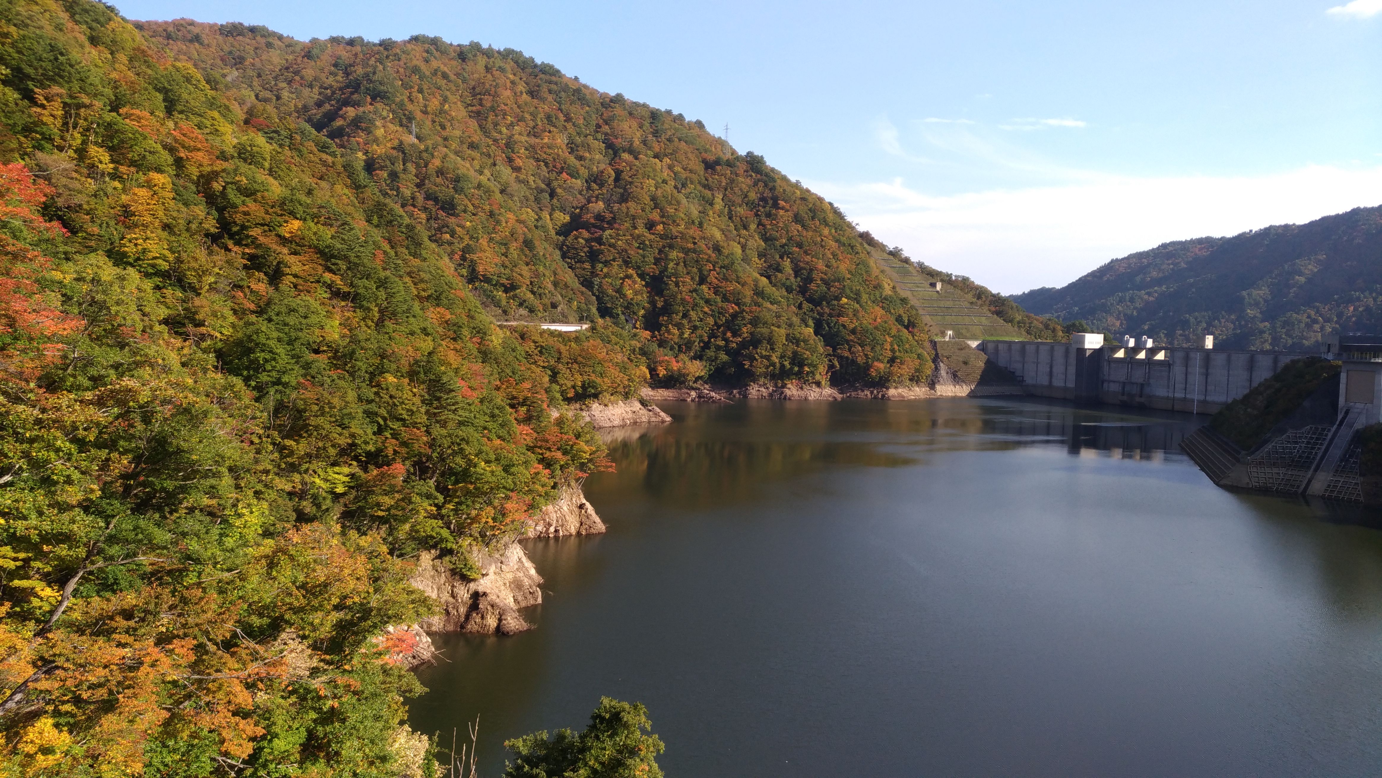 長井ダム周辺紅葉情報（10/24）