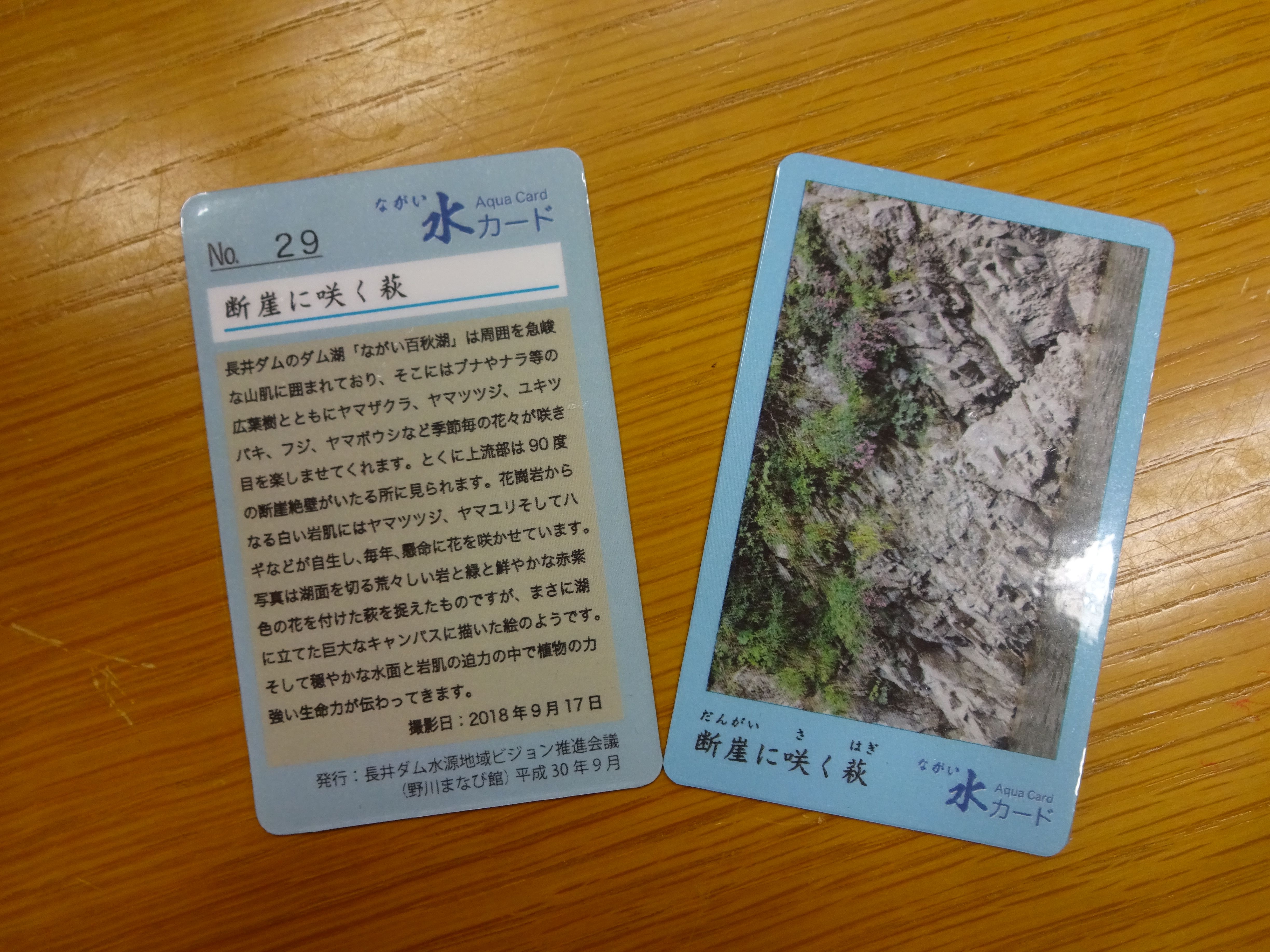 「ながい水カード」NO.29を発行しました。