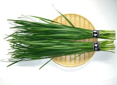 【行者菜レシピブック登場！】