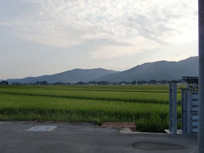 【おいし～く育ってます！】