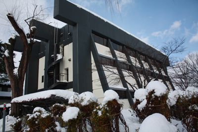 【干支の寅にちなんで～長井市立図書館】