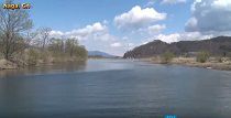 最上川桜遊覧（H28.4.9～22） 
