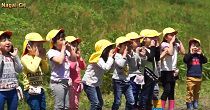 菊芋大きくなあれ(H28.5.12) 