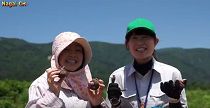 長井のこんにゃく芋大きくなぁれ（H28.6.3) 