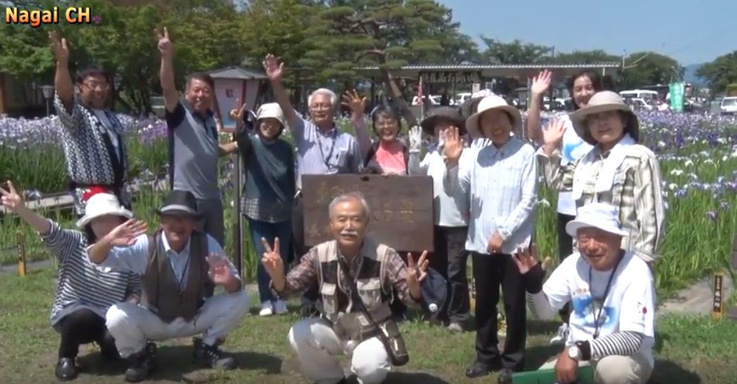 駅長おススメの小さな旅～人々を魅了する長井のあやめ「花がら摘み体験コース」（H28.6.18) 