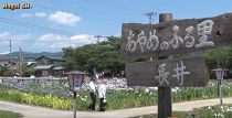 あやめのふる里　山形県長井市 