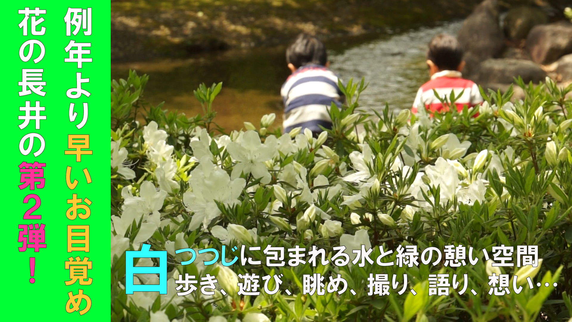 平成30年度　白つつじまつり開園式（5.12）
