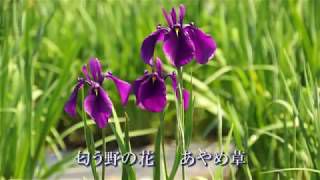 長井市民歌