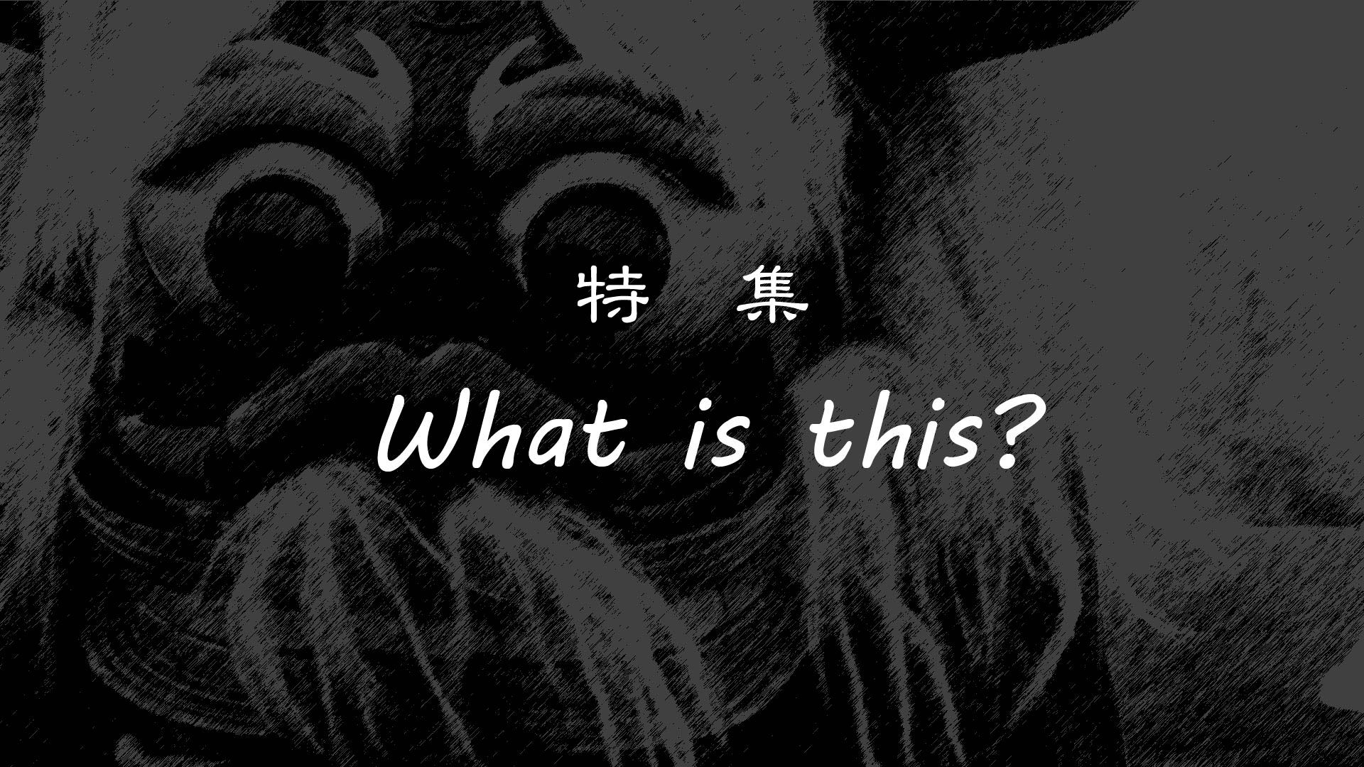 【長井市】 特集 『What is this？』 ながいの黒獅子 編 