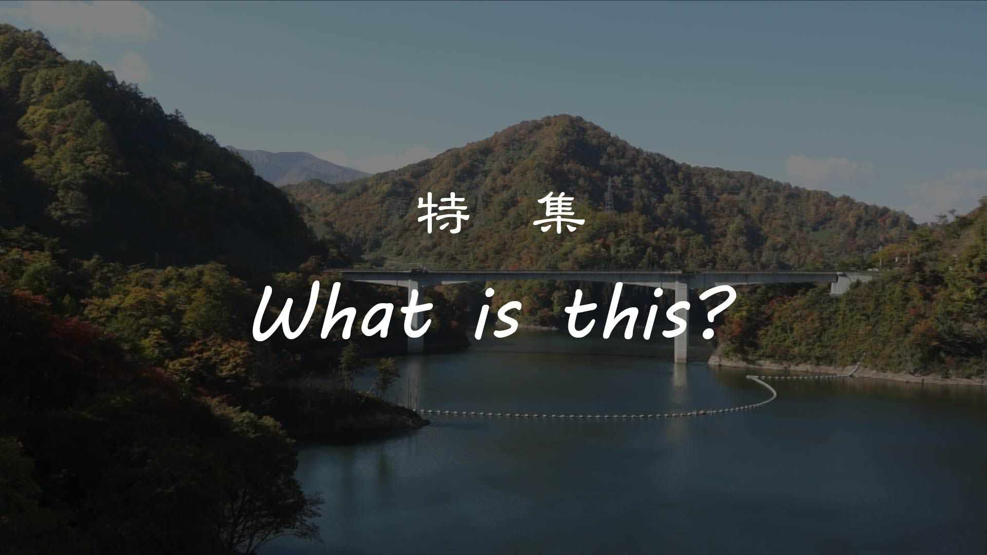 【長井市】 特集 『What is this？』 ながい百秋湖 編 