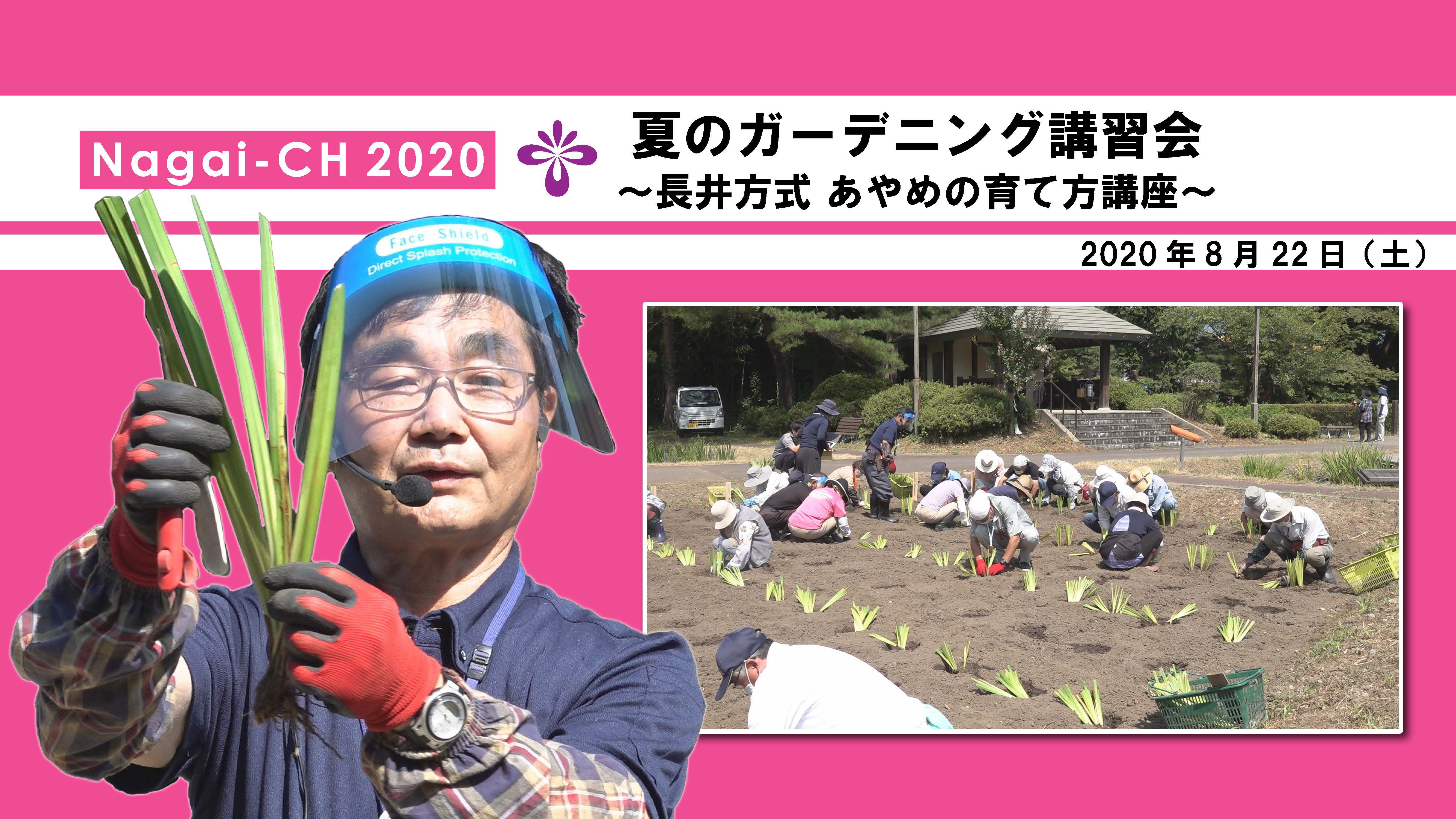 【長井市】夏のガーデニング講習会～長井方式 あやめの育て方講座～（令和2年8月22日）
