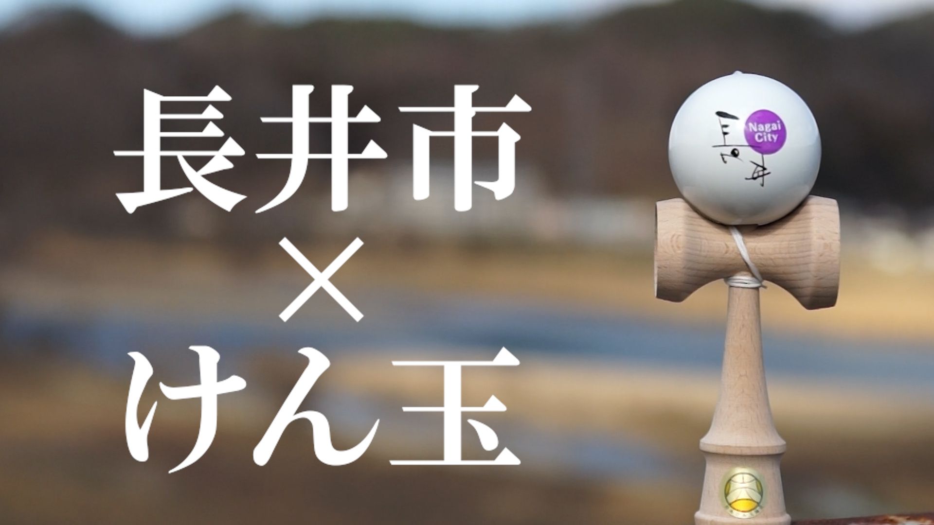 【長井市】特集「長井市×けん玉」