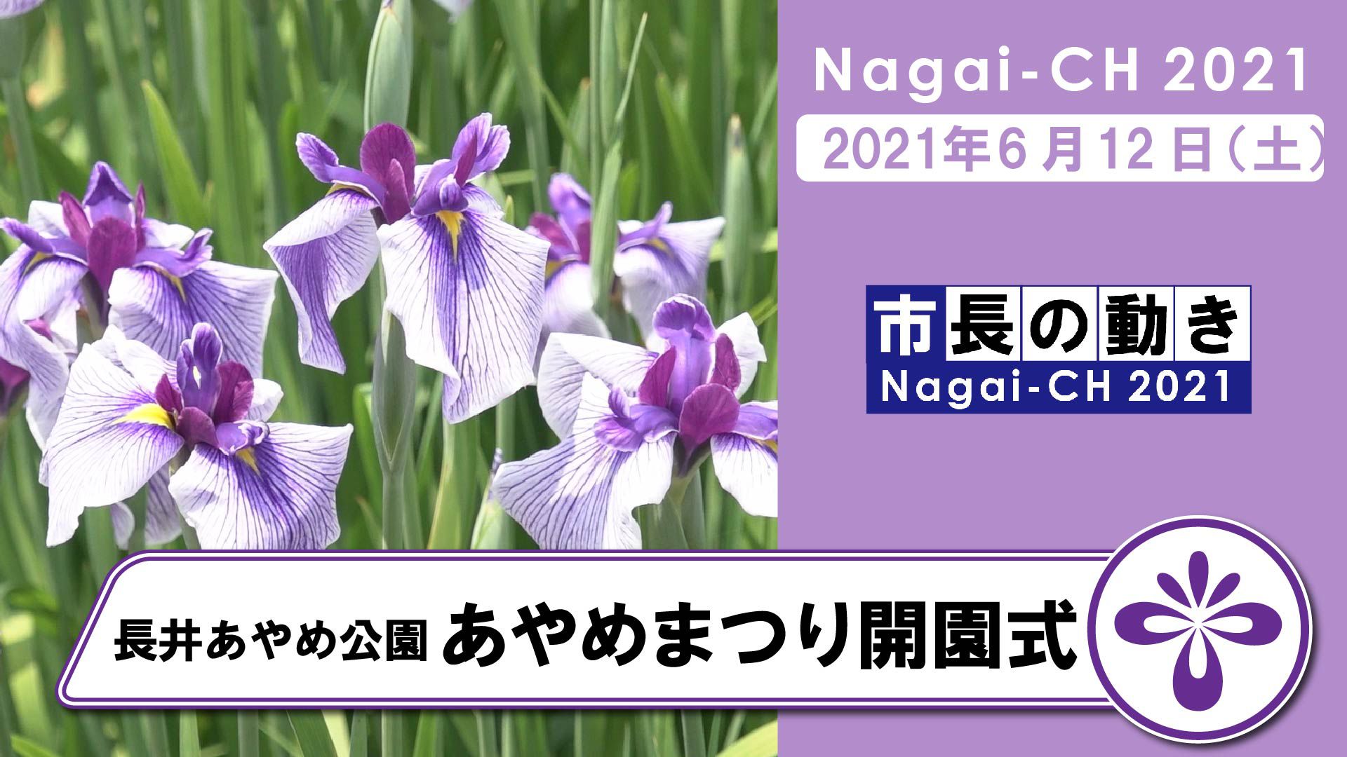 【長井市】令和3年度あやめまつり（令和3年6月12日～7月4日）