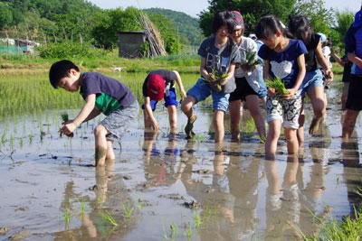 ☆やんちゃ放課後ひろばがスタートしました～5月は田植えに挑戦です！