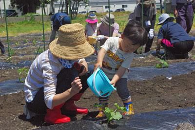 ☆共育セミナーなかよしくらぶ～畑で元気に活動中！