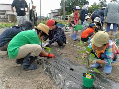 ☆食の安全安心事業 畑の楽耕（はたけのがっこう）が開講しました