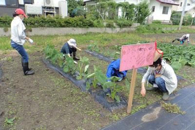 ☆食の安全安心事業 畑の楽耕～看板を設置しました！