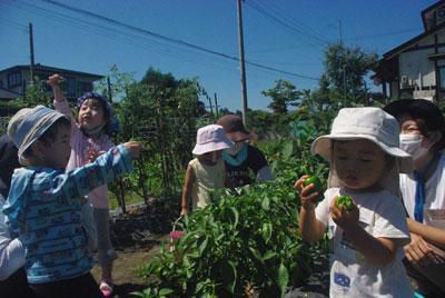 ☆共育セミナーなかよしくらぶ～８月、９月の活動