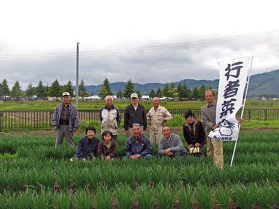 【今年も美味しく育ってます！～行者菜目揃い会】