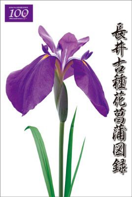 【長井古種花菖蒲図録を発売しました】