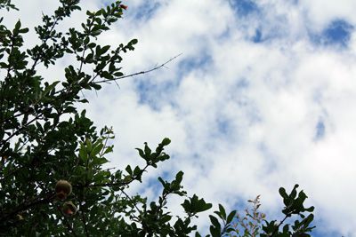 【台風が来るそうです】