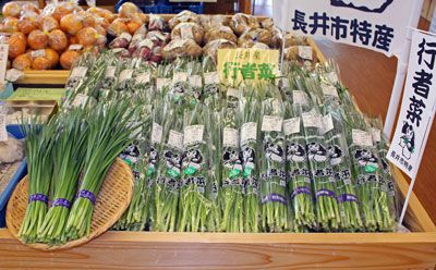 【あさイチ出演!おらんだ市場菜なポート全国デビュー!!】