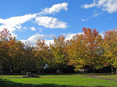 【白つつじ公園の木々も綺麗に紅葉しています】