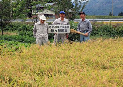 【さわのはなネットワークが開催されます】