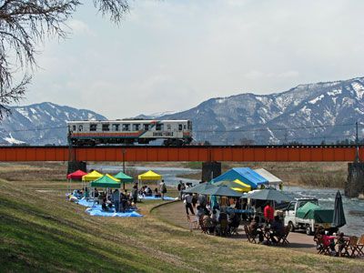 【チャリティーイベント野川で桜まつりが開催されました】