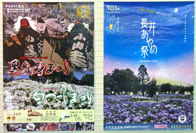 【白つつじ黒獅子、そしてあやめのポスターが登場です！】