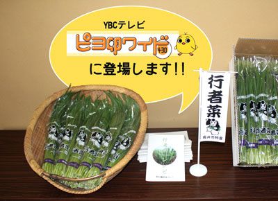 【行者菜が“ピヨ卵”に登場しますよん♪】