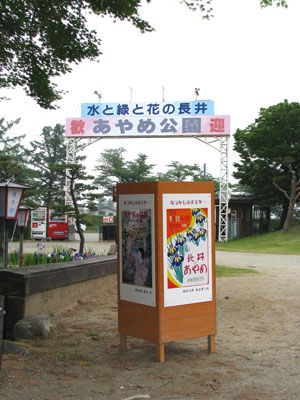 【長井あやめ祭オープニングイベント開催！】