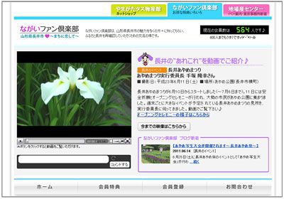 【あやめまつりの見どころはココ！～ながいファン倶楽部動画】