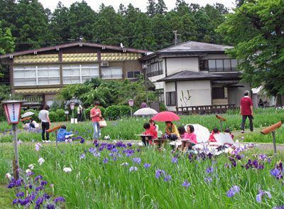 【あやめ写生大会～長井あやめまつり】