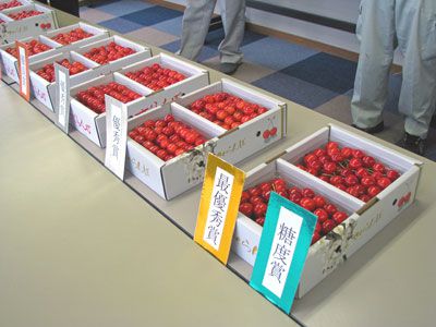 【長井さくらんぼ王者決定戦！～さくらんぼ品評会】