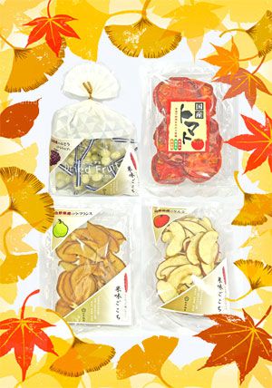 【ドライにトライ！～新商品】